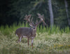 Hunting Package - Main Image