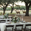 Private Ranch Experience - Wedding