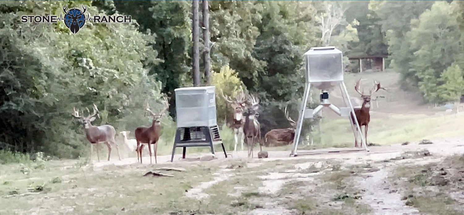 Hunting – Stone Ranch